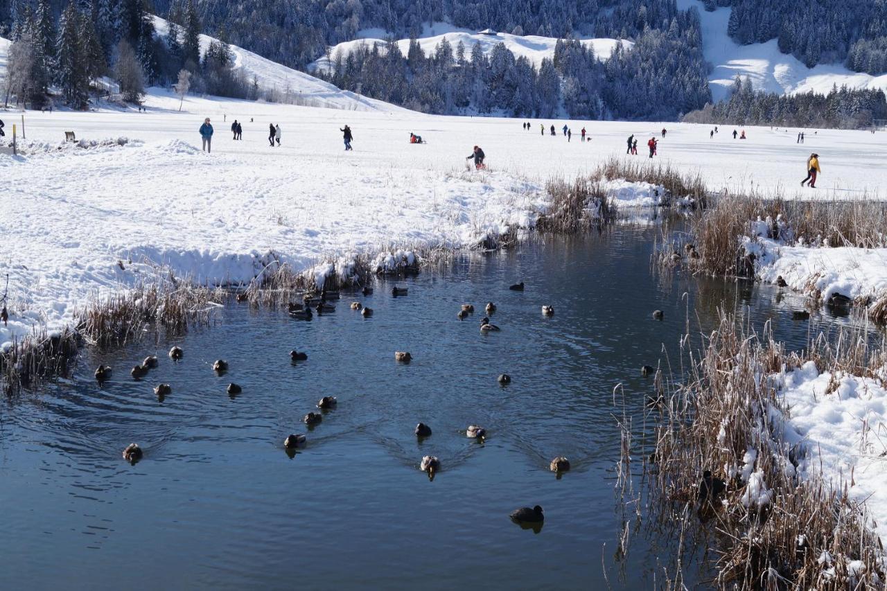 Chalet Alte Post Bad-Schwarzsee Dış mekan fotoğraf